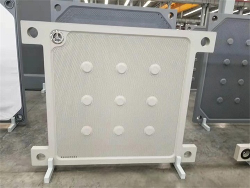 隔膜壓濾機(jī)濾板價(jià)格優(yōu)惠廠家直銷(xiāo)規(guī)格型號(hào)齊全